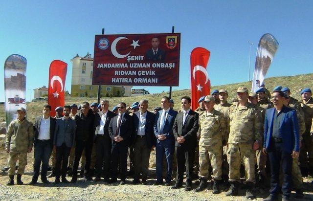 Afrin Şehidi Uzman Onbaşı Rıdvan Çevik için mevlit okutuldu, hatıra ormanı oluşturuldu