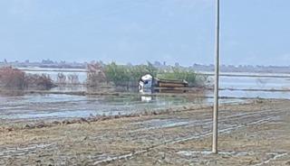 Taşkın sularında yan mahsur kalan tır s&uuml;r&uuml;c&uuml;s&uuml;n&uuml; itfaiye ekipleri kurtardı