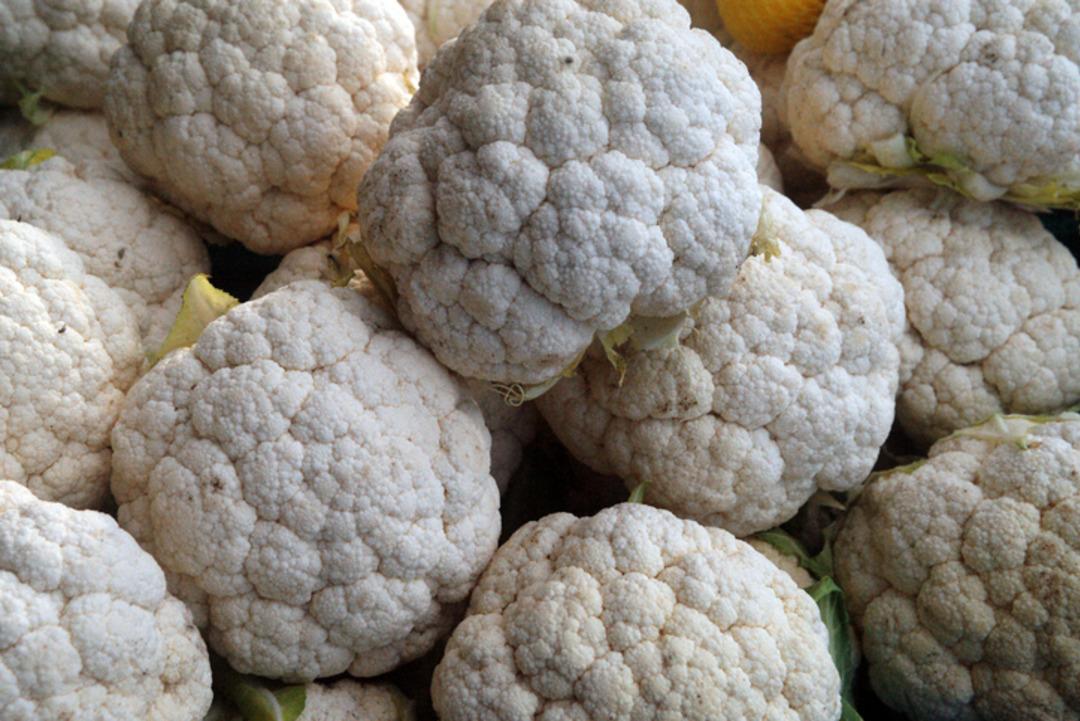 D&uuml;nyanın yeni  s&uuml;per gıdası  se&ccedil;ildi! 2 bin yıllık: Bilinmeyen sırları ortaya &ccedil;ıktı  6