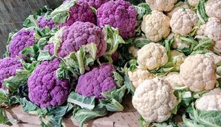 D&uuml;nyanın yeni 's&uuml;per gıdası' 2 bin yıllık bu sebze se&ccedil;ildi! 