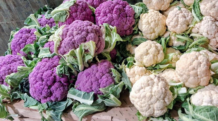 D&uuml;nyanın yeni 's&uuml;per gıdası' se&ccedil;ildi! 2 bin yıllık: Bilinmeyen sırları ortaya &ccedil;ıktı 