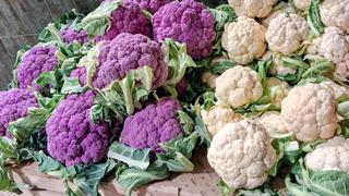 Dünyanın yeni 'süper gıdası' seçildi! 2 bin yıllık: Bilinmeyen sırları ortaya çıktı 