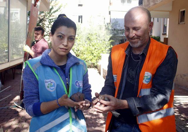 Kumrular işyerinin cam bölmesinde mahsur kaldı