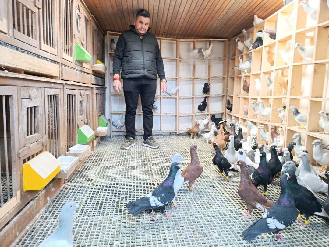 Memurdu, istifa edip başladı: Araba fiyatına satıyor  1 milyon TL yi bulan var  1