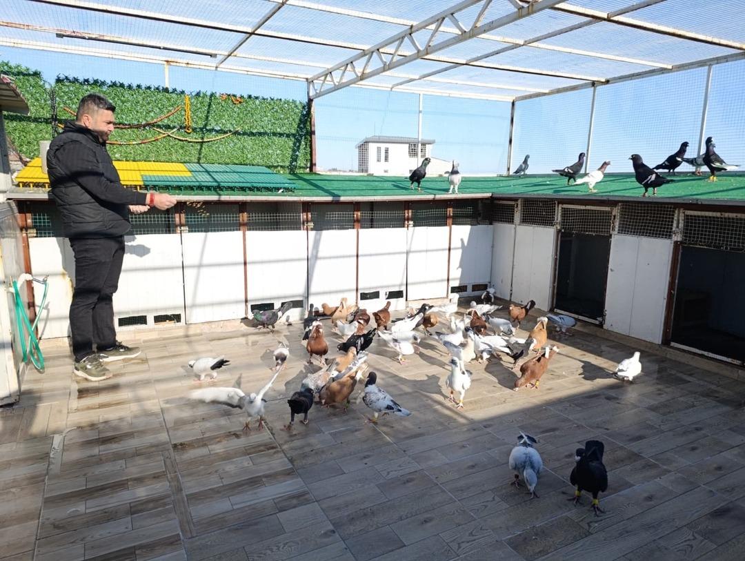 Memurdu, istifa edip başladı: Araba fiyatına satıyor  1 milyon TL yi bulan var  2