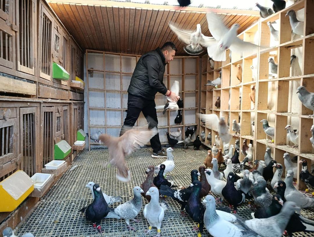 Memurdu, istifa edip başladı: Araba fiyatına satıyor  1 milyon TL yi bulan var  4