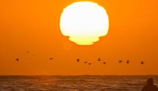 S&uuml;per g&uuml;&ccedil;l&uuml; gelecek: T&uuml;rkiye 'El Nino' etkisi altına giriyor!