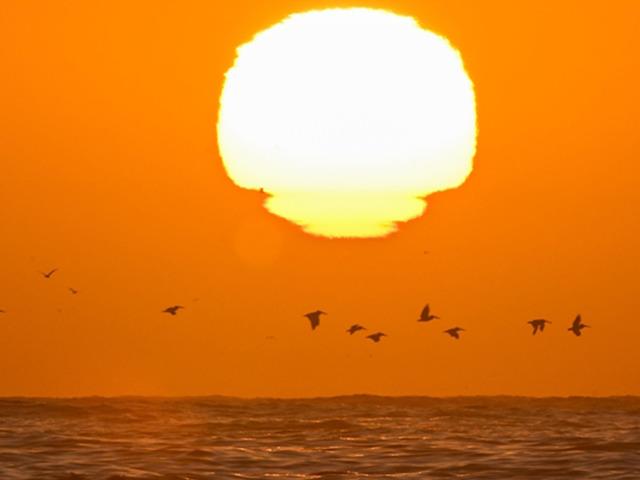 S&uuml;per g&uuml;&ccedil;l&uuml; gelecek: T&uuml;rkiye 'El Nino' etkisi altına girecek