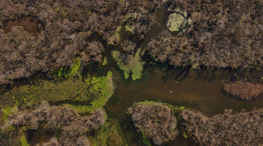 5 ay &ouml;nce kurumuştu! T&uuml;rkiye&rsquo;nin dev longozu yeniden suyla doldu