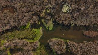 5 ay önce kurumuştu! Türkiye’nin dev longozu yeniden suyla doldu