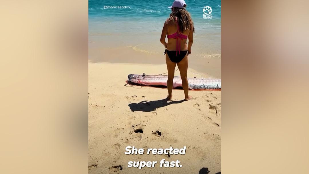 Kıyıya iki "kıyamet balığı" vurdu! G&ouml;r&uuml;nt&uuml;ler paniğe neden oldu 3