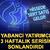 13 haftalık alım serisi sona erdi! Yabancı yatırımcı satışa ge&ccedil;ti
