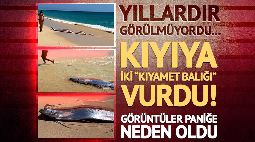Kıyıya iki "kıyamet balığı" vurdu! G&ouml;r&uuml;nt&uuml;ler paniğe neden oldu