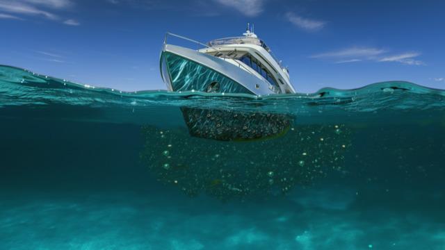 Denizlerin Görünmez Düşmanı Biofouling'e Karşı Türk Mühendislerden Devrim: Ses Dalgalarıyla Denizi Temizliyorlar
