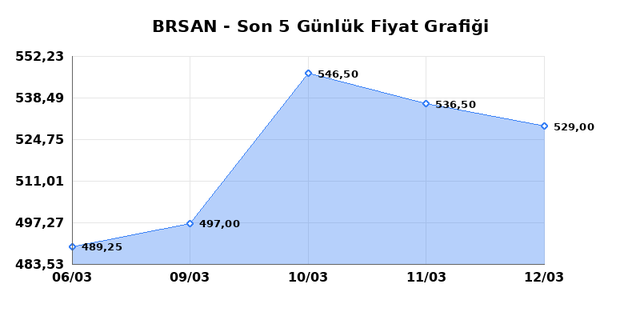 BORUSAN BORU SANAYI (BRSAN) 13 Mart Cuma 2026 G&uuml;nl&uuml;k Teknik Analiz 1