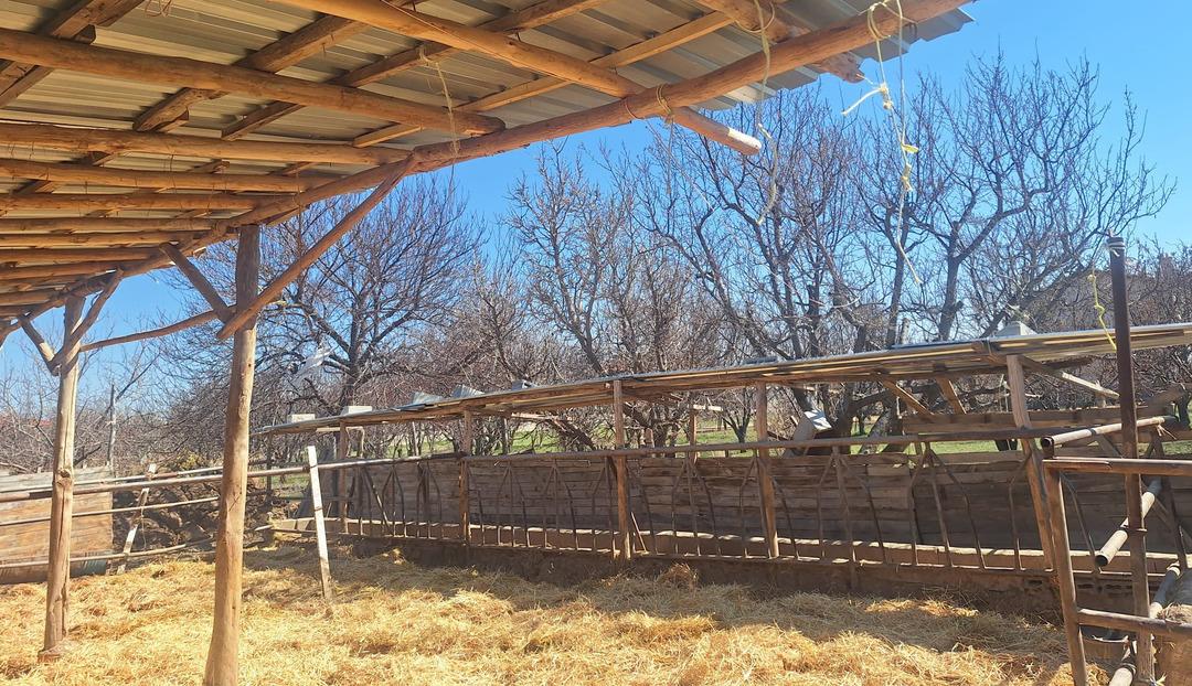 Hayvanların g&ouml;r&uuml;nt&uuml;s&uuml; sosyal medyada tepki &ccedil;ekmişti! Konya daki besi &ccedil;iftliğinde denetleme 2