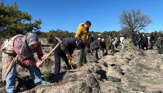 'Hep Birlikte Geleceğe Nefes' sloganıyla fidanlar toprakla buluştu
