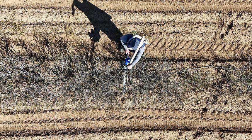 Isparta'nın g&uuml;l bah&ccedil;elerinde hasat &ouml;ncesi budama mesaisi yapılıyor