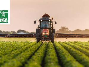 HEKTS Hisse Yorum: Hissede Son Durum Ne? 3,19 Seviyesi Kritik