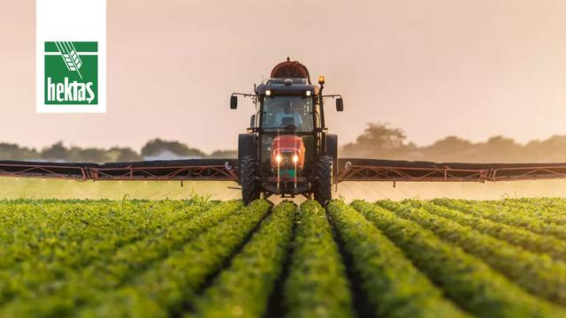 HEKTS Hisse Yorum: Hissede Son Durum Ne? 3,19 Seviyesi Kritik