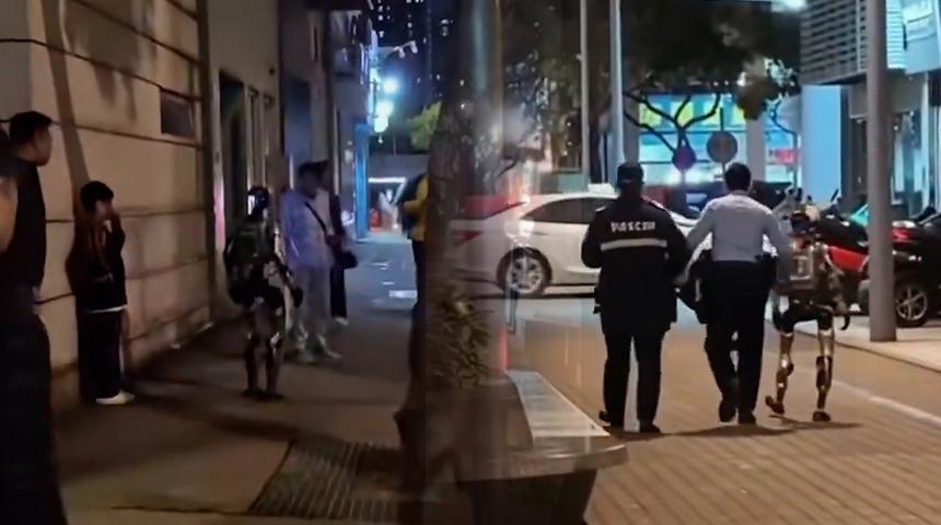 &Ccedil;in'de yaşlı kadını korkutup hastanelik eden robot 'tutuklandı'