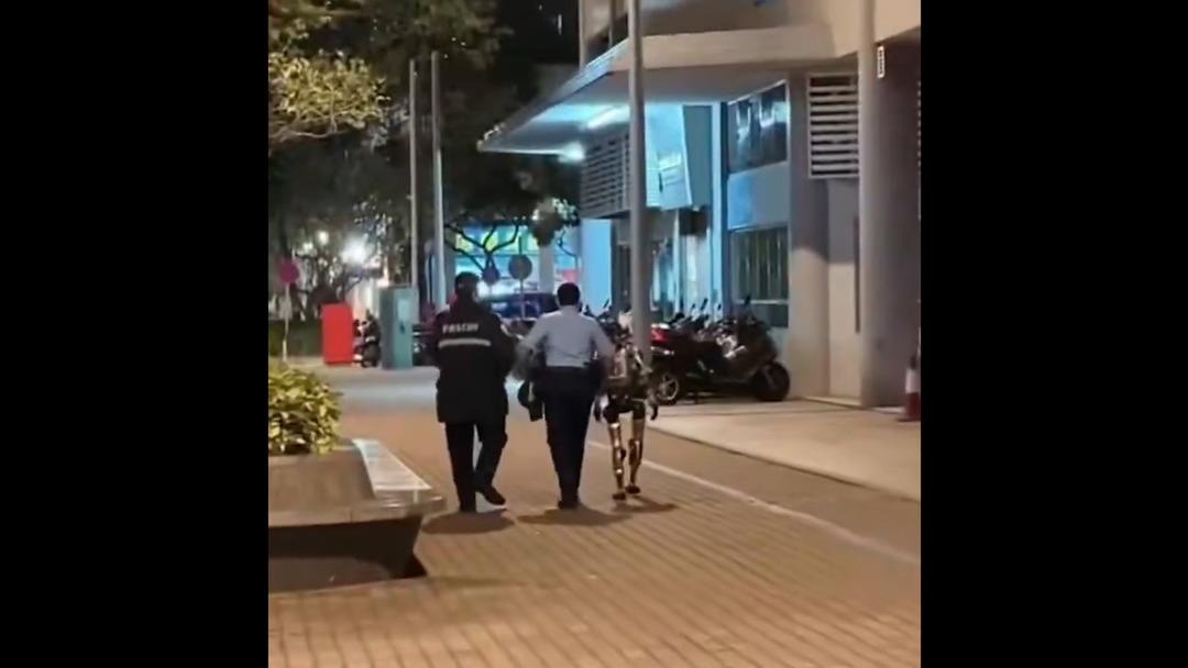 &Ccedil;in de yaşlı kadını korkutup hastanelik eden robot  tutuklandı  1