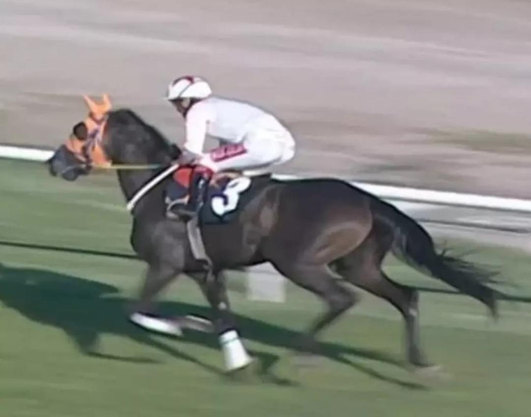 Mersin B&uuml;y&uuml;kşehir Belediye Başkanı Se&ccedil;er den  at  a&ccedil;ıklaması! "Sizlerin evine de geliyor" 1