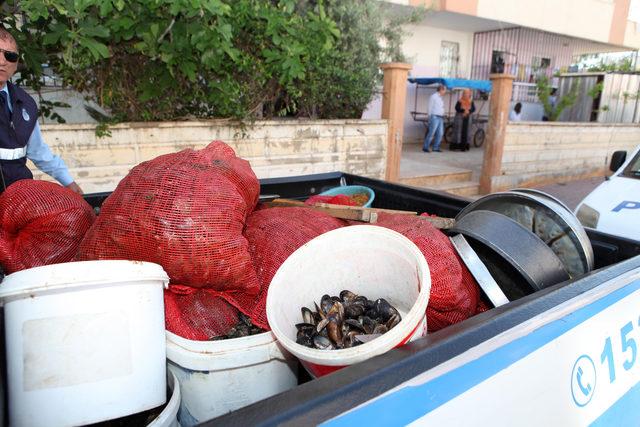 Antalya'da küflenmiş midye dolma operasyonu