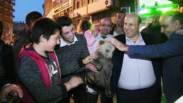 Köpeklerin saldırısından kurtarılan yavru ayılar ilgi odağı oldu