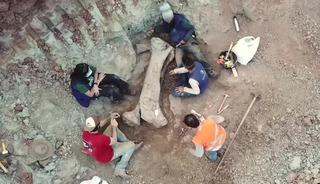 Kazı sırasında ortaya &ccedil;ıktı! Dev dinozor t&uuml;r&uuml; keşfedildi: Bir kemiği bile insan boyutunda