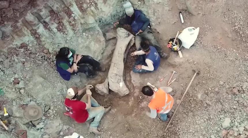 Kazı sırasında ortaya &ccedil;ıktı! Dev dinozor t&uuml;r&uuml; keşfedildi: Bir kemiği bile insan boyutunda