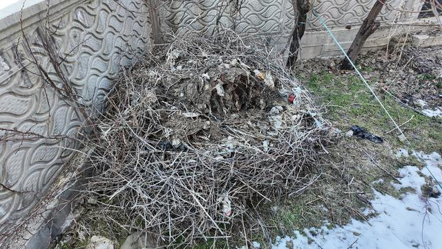 Leyleklerin 40 yıllık yuvası yıkıldı, onlar gelmeden yenisini yerleştirdi 8