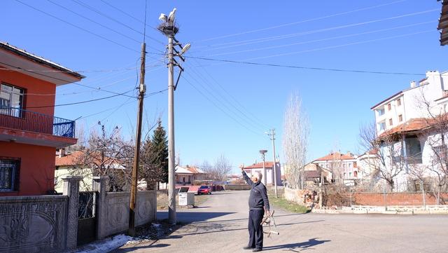 Leyleklerin 40 yıllık yuvası yıkıldı, onlar gelmeden yenisini yerleştirdi 3