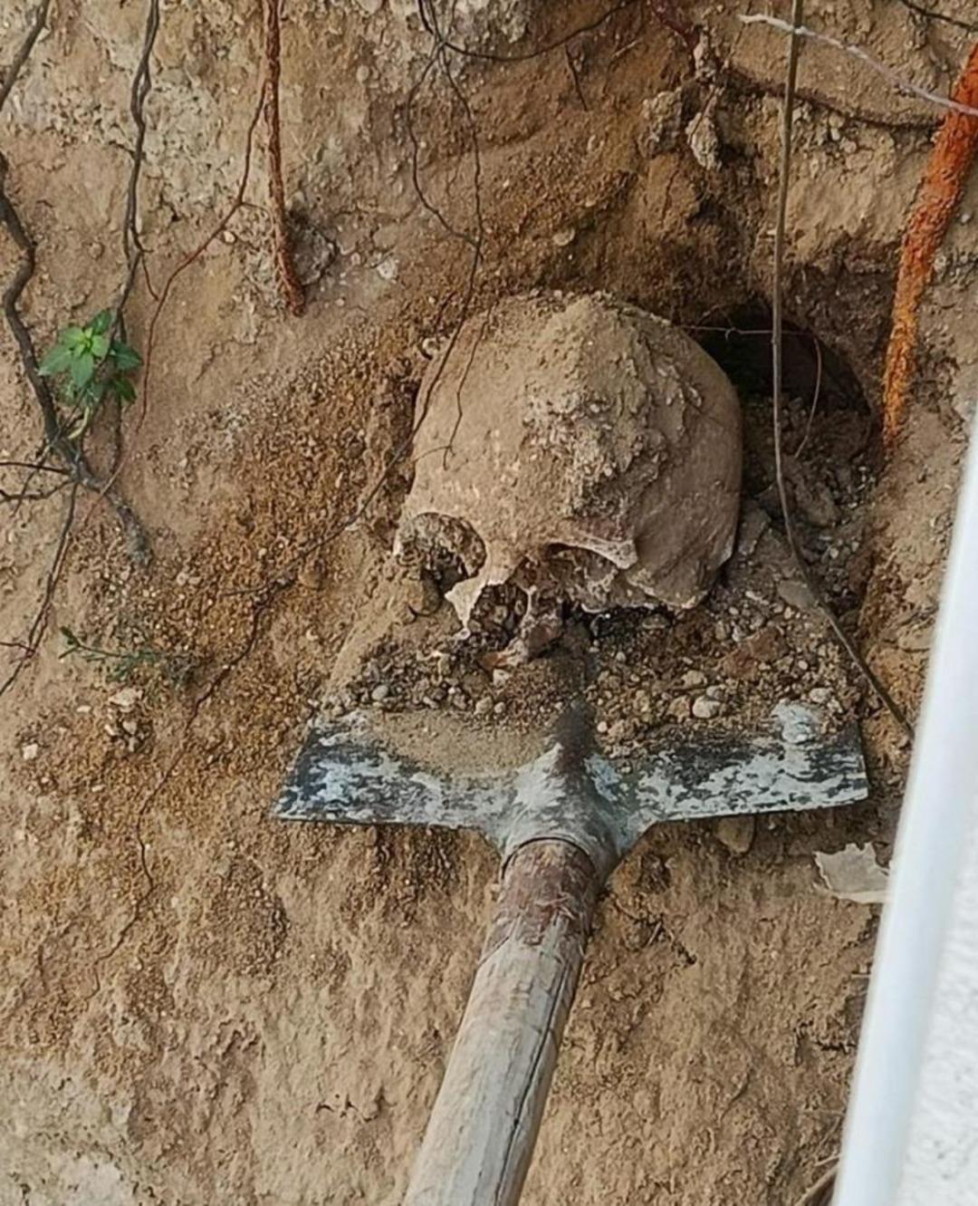 Bah&ccedil;ede yapılan kazıda insan kafatası ve kemikler bulundu 1