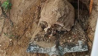 Bah&ccedil;ede yapılan kazıda insan kafatası ve kemikler bulundu