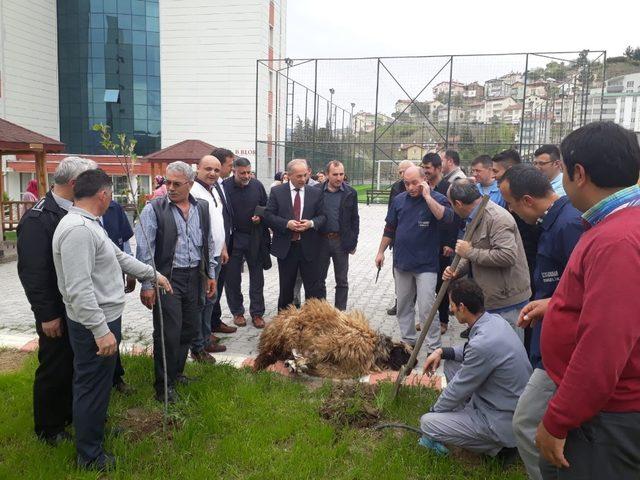 Kadroya geçişlerini kurban keserek kutladılar