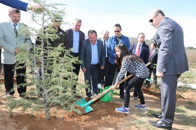 Polis Şehitleri Hatıra Ormanı’na bin fidan dikildi