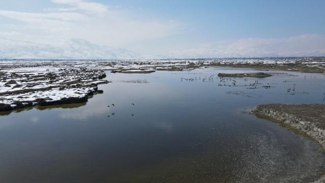 Ekşisu Kuş Cenneti’nde hayran bırakan manzara! 2