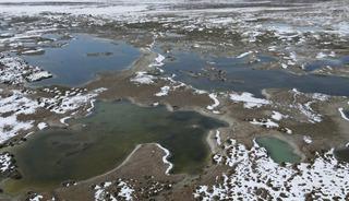 Ekşisu Kuş Cenneti: Şahinlerin avı, kuşların ka&ccedil;ışı