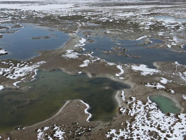 Ekşisu Kuş Cenneti: Şahinlerin avı, kuşların ka&ccedil;ışı