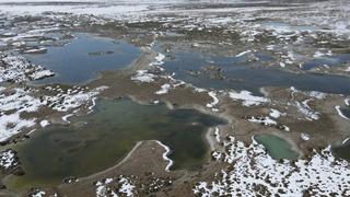 Şahinlerin avı, kuşların kaçışı: Ekşisu Kuş Cenneti görüntülendi