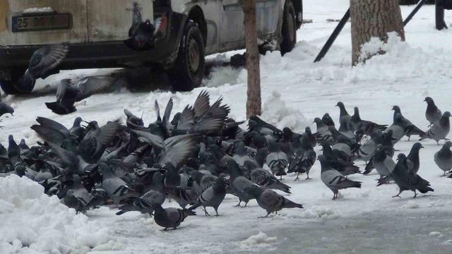 Mart ayında yağan kar, kenti yeniden beyaza b&uuml;r&uuml;d&uuml; 14