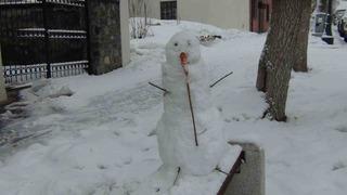 Mart ayında yağan kar, kenti yeniden beyaza bürüdü