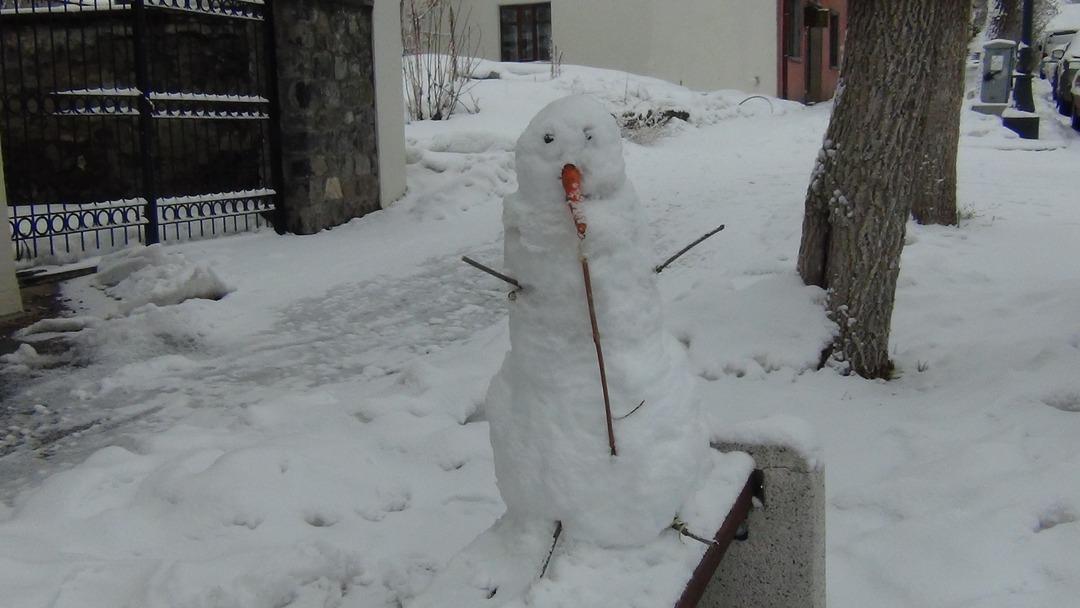 Mart kapıdan baktırdı! Kente Lapa lapa kar yağdı: Kış geri döndü 1