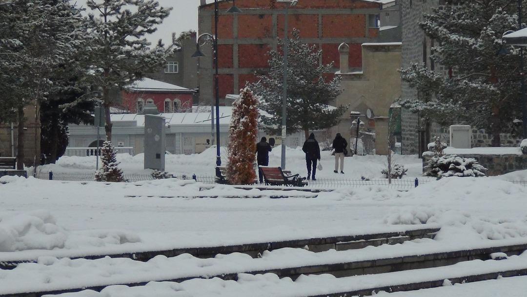 Mart kapıdan baktırdı! Kente Lapa lapa kar yağdı: Kış geri döndü 10