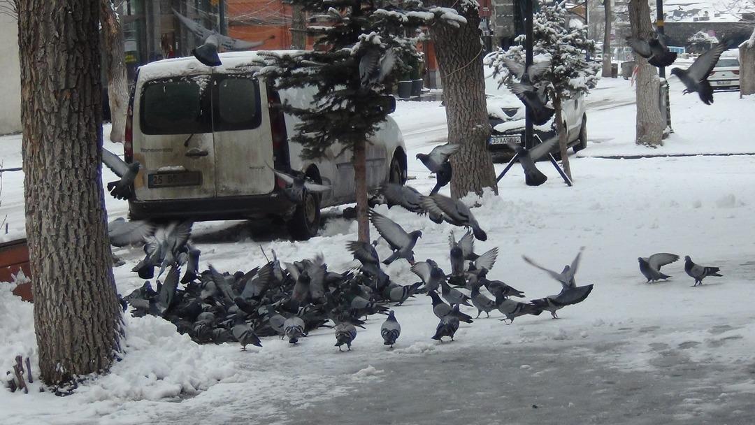 Mart kapıdan baktırdı! Kente Lapa lapa kar yağdı: Kış geri döndü 14