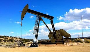 TPAO'nun 3 şehirdeki bazı sahaları i&ccedil;in kamulaştırma kararı