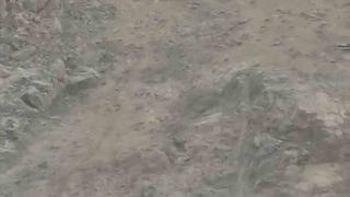 Diyarbakır’da nesli tükenme tehlikesi altında bulunan dağ keçileri sürü halinde görüntülendi