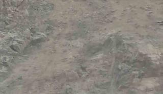 Diyarbakır&rsquo;da nesli t&uuml;kenme tehlikesi altında bulunan dağ ke&ccedil;ileri s&uuml;r&uuml; halinde g&ouml;r&uuml;nt&uuml;lendi