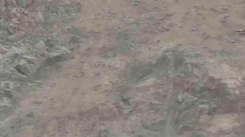 Diyarbakır&rsquo;da nesli t&uuml;kenme tehlikesi altında bulunan dağ ke&ccedil;ileri s&uuml;r&uuml; halinde g&ouml;r&uuml;nt&uuml;lendi